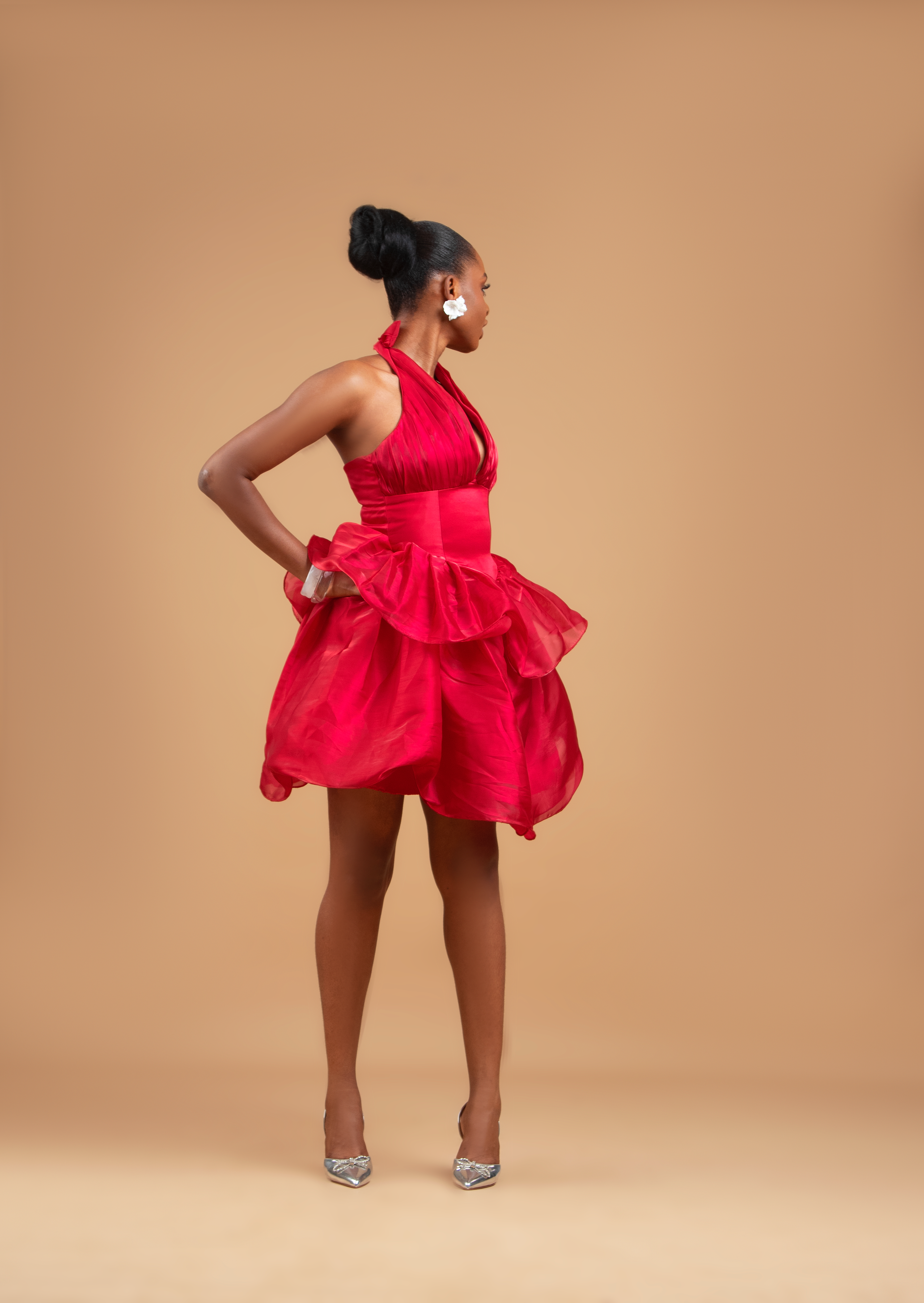 Wendy Organza Dress