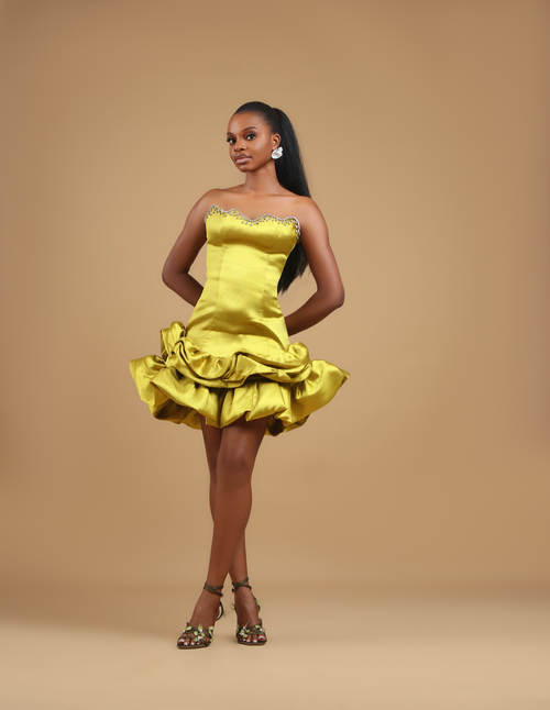 Norphy Ruffled Dress