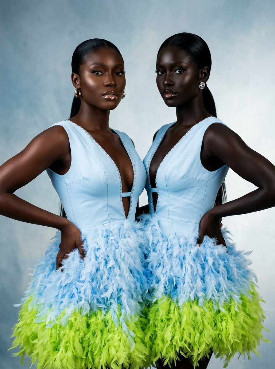 Aurelia Feather Dress